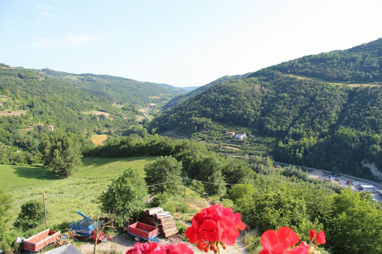 Agriturismo Gallo Cortemilia Exterior photo